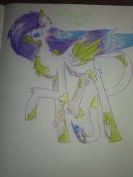 MLP FIM Chocolate Mint