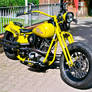 Yellow Custom H.-D. 5