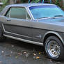 Mustang 12
