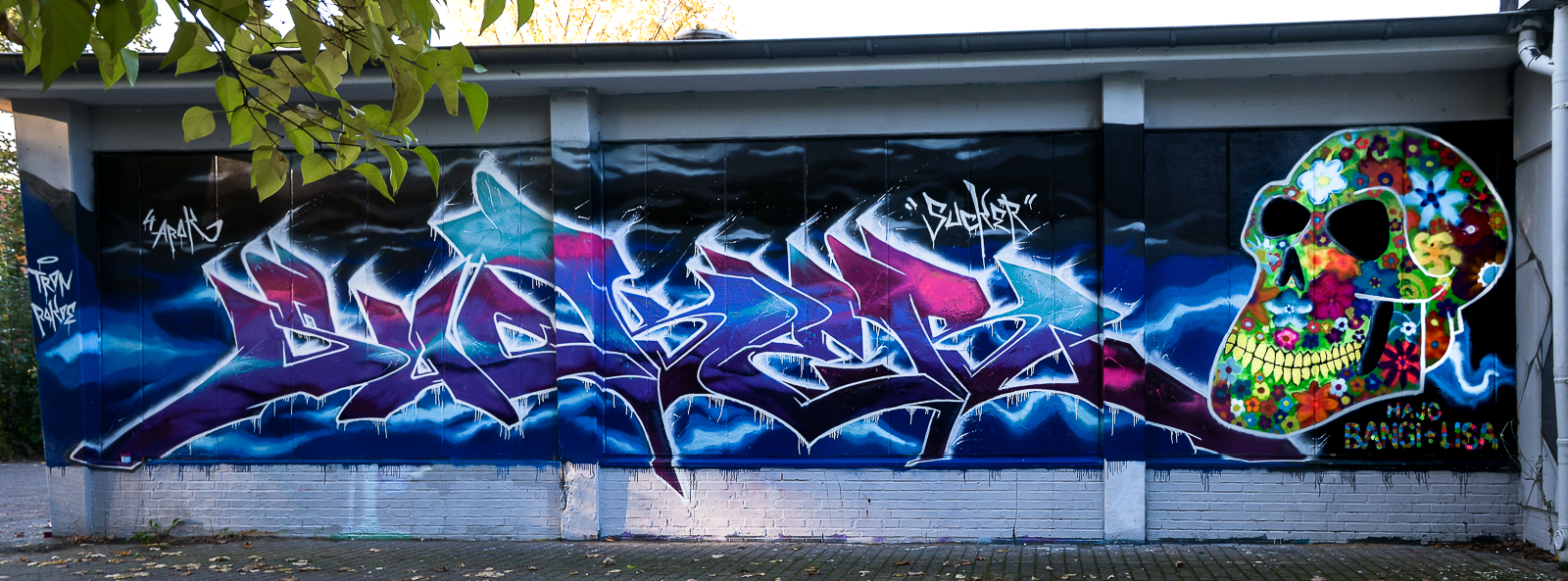 Graffiti 3648