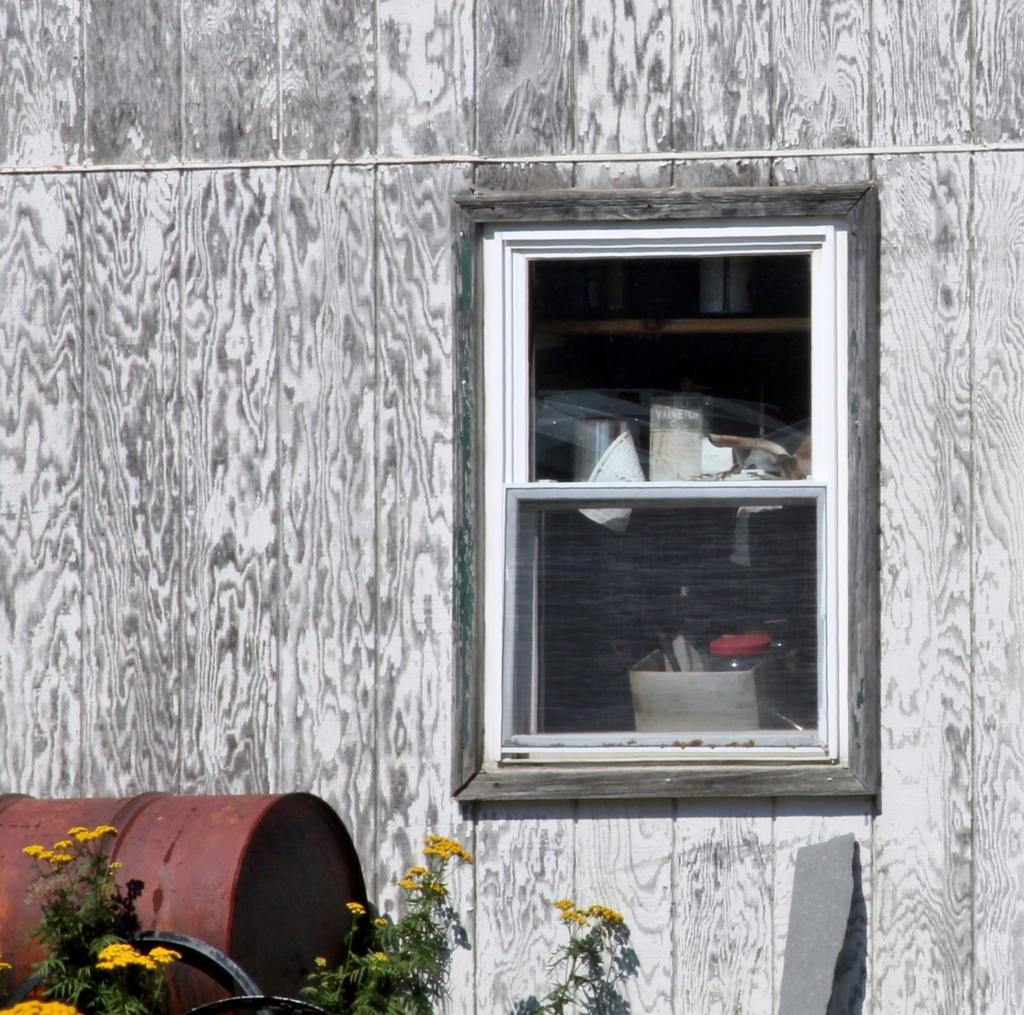 Vinalhaven barn detail 7 square