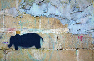 1 Grafitti Elephant On Plaster And Concrete Brick