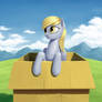 Derpy in box