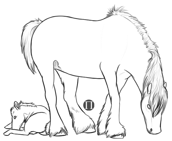 Draft Mare and Foal Lines