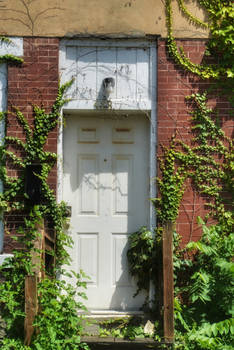 Abandoned door