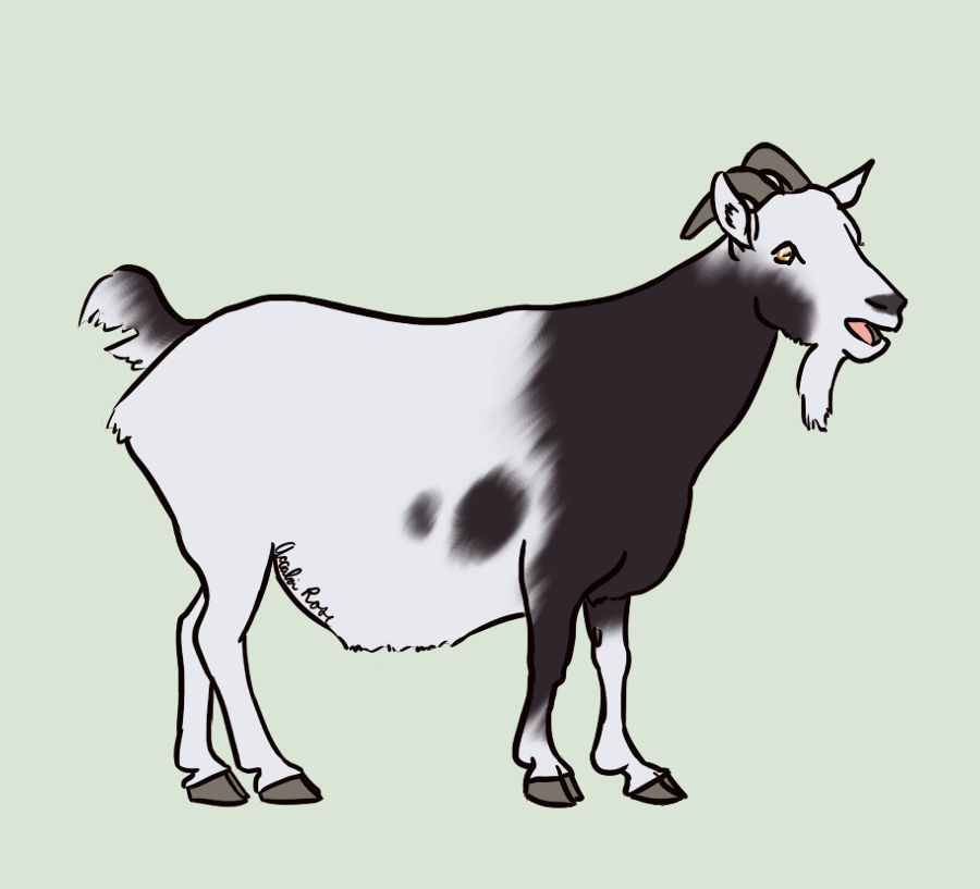 Grumpy Sloth by AccaliaRose on DeviantArt