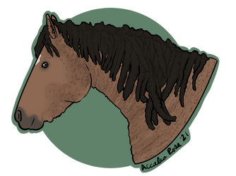 Velvet|Mare|American Bashikir Curly by AccaliaRose