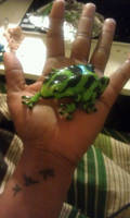 Polymer Clay Frog