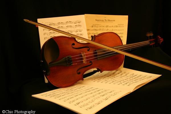 Violin