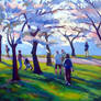 Cherry Blossoms 2