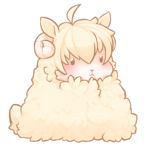 Sheep!