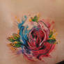 watercolor rose