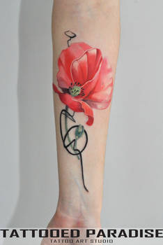 poppy design