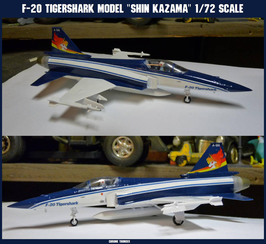 F-20 Tigershark Shin Kazama Model: 1:72 Scale by lonewolf3878
