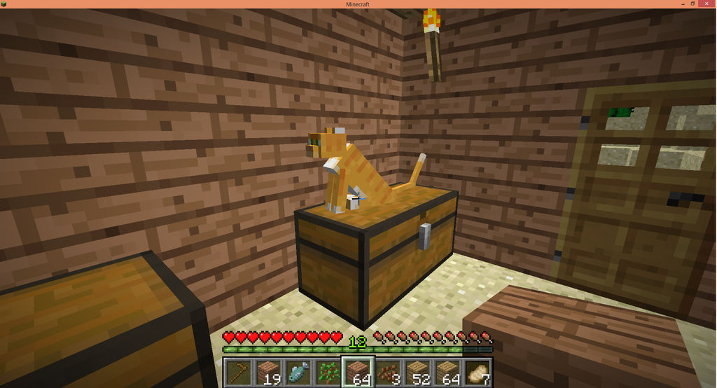 Sometimes I Love The Cats In Minecraft...