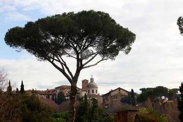 A Rome with a view