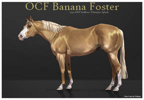 203 OCF Banana Foster