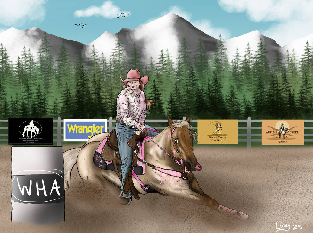 Lookit Himbo - WHA Rodeo In The Rockies - Churro by Harleyloveme2039 on ...