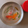 3d art goldfish in resin