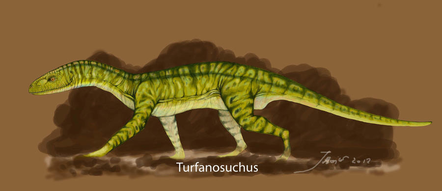 TURFANOSUCHUS