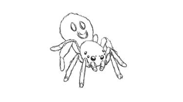 Spider final sketch