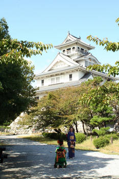 Nagahama Castle
