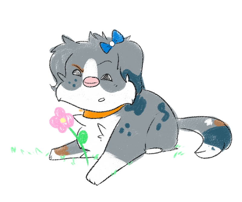 :CO: Erudi by bugpaw
