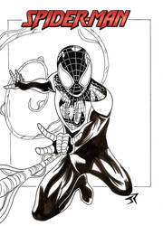 Sketch Ultimate Spiderman