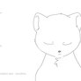 Cat-animate-exersize