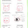 Super-Easy Guide to Drawing Realistic Cats - Faces