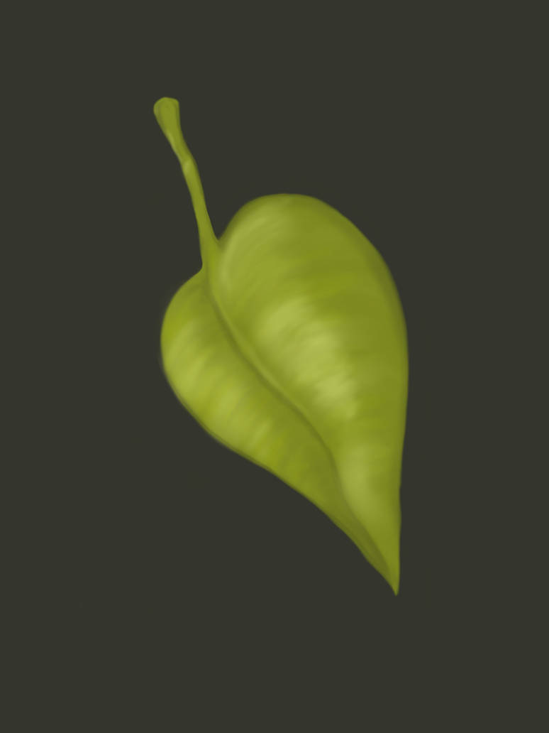 NATURAL TEXTURE: LEAVES by obrienwise on DeviantArt