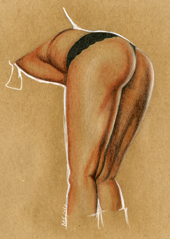 anatomy conte study 01