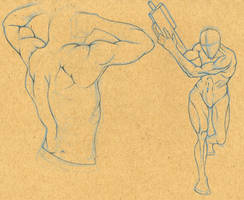 male anatomy sketches 11