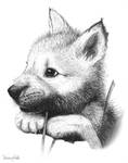 Wolf Pup V1 by iduck