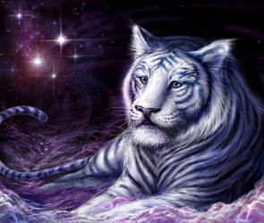 Cosmic Tiger