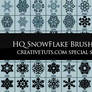 Snowflakes PS Brushes - E