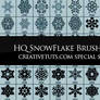 Snowflakes PS Brushes - F