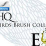 Photoshop Bird Brushes - E