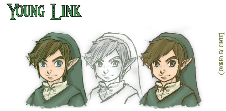 Twilight Princess Young Link