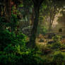 Crysis-3-Panorama-by-PeriodsofLife- 60