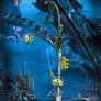 Crysis 3 Panorama 112