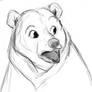 Disney Bear Sketch
