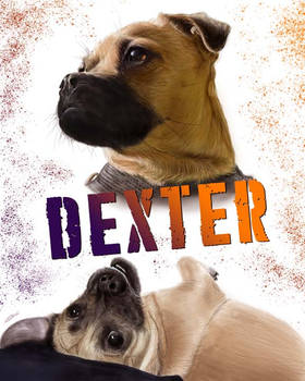 Dexter