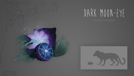Ibea Plant - Dark Moon-Eye