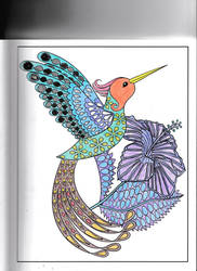 Coloured hummingburd