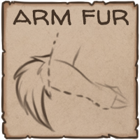 Arm Fur by SaintoftheShadow on DeviantArt
