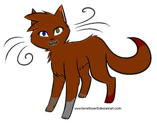 Warrior Cats OC