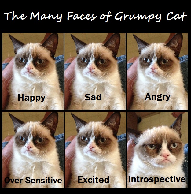 Emotions of Grumpy Kitty