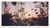 F2U sunset flowers stamp