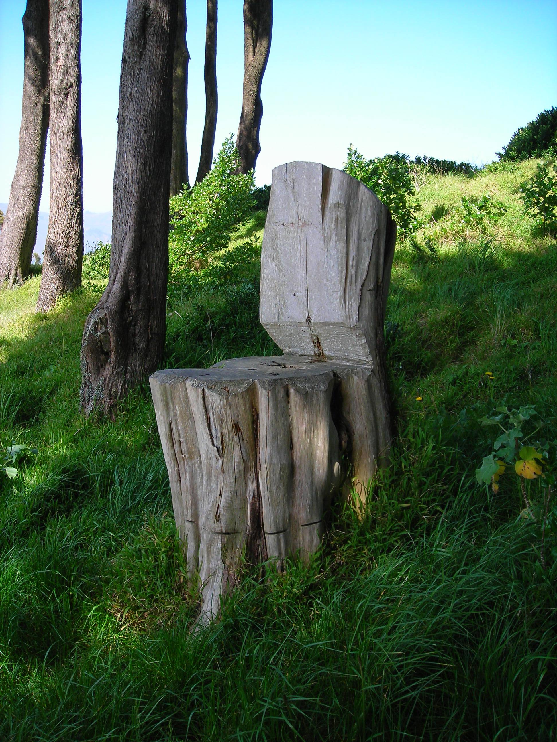 The Faerie Throne 1